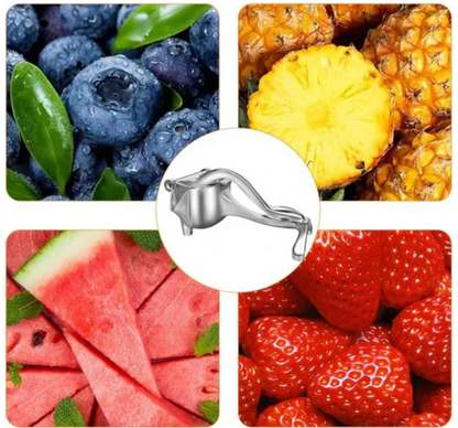 Exprimidor Inoxidable para Jugos Saludables y Frescos